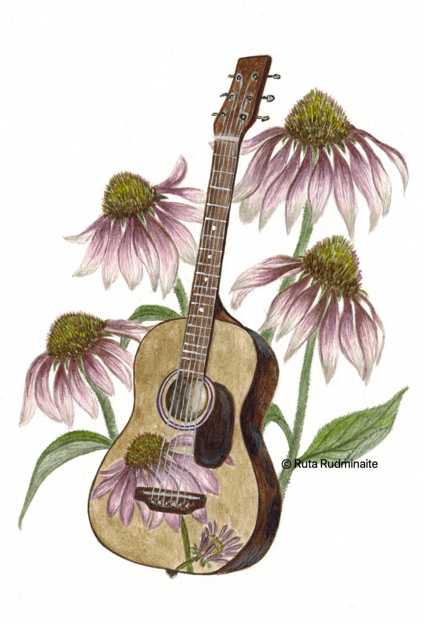 Playing Guitar Among the Flowers